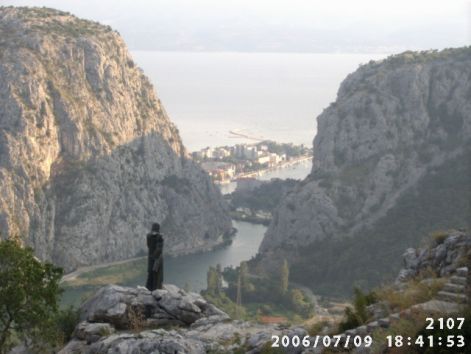 omis_202.jpg